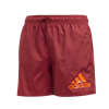 Picture of Badge of Sport Swim Shorts