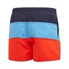 Picture of Colorblock Swim Shorts