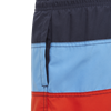 Picture of Colorblock Swim Shorts