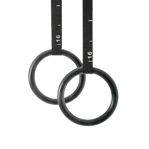 Picture of Gymnastics Rings