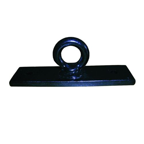 Picture of Bruce Lee Boxing Bag Ceiling