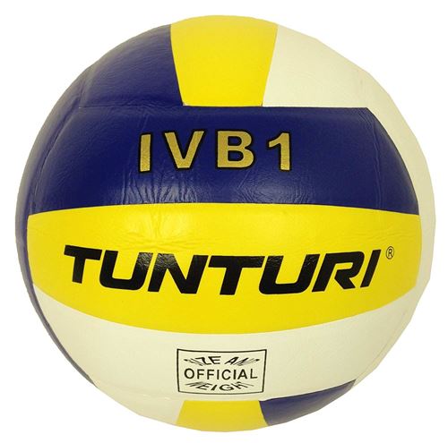 Picture of Volleyball IVB1