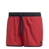 Picture of Swim Shorts