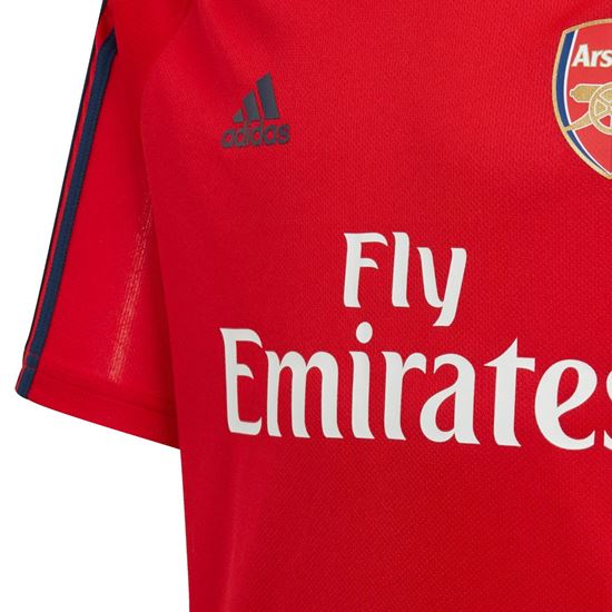 Picture of Arsenal Training Jersey