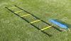 Picture of Foot Speed Ladder Sc Flt4m Lad