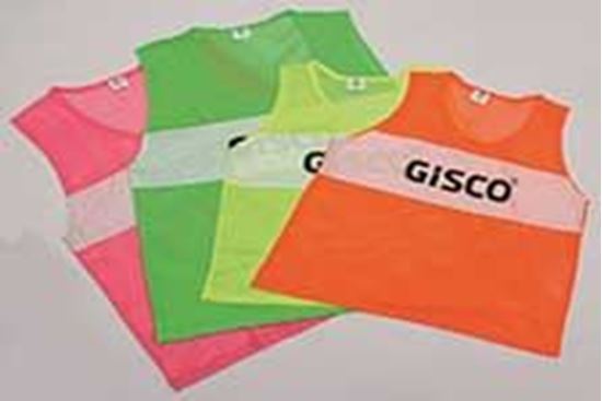 Picture of Mesh Bibs With Strips Junior