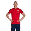 Picture of Arsenal Polo Shirt