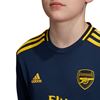 Picture of Arsenal Third Jersey