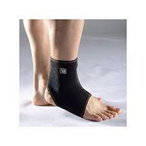 Picture of Ankle Support