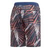 Picture of Graphic Board Shorts