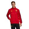 Picture of Manchester United Sweatshirt