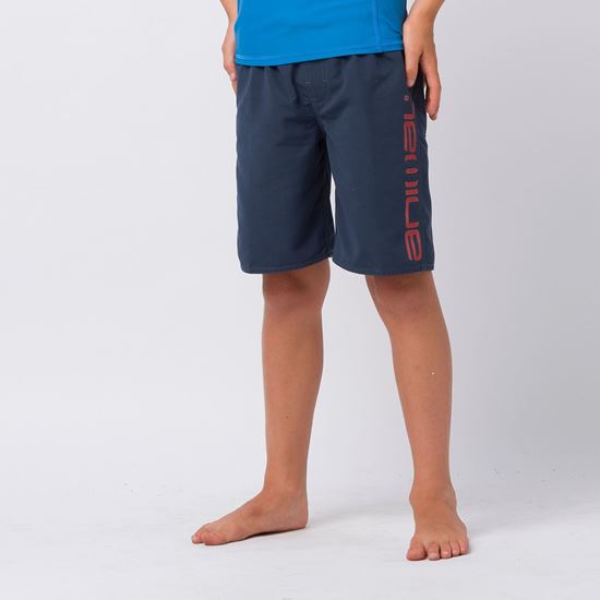 Picture of Tannar Boardshort