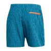 Picture of Check CLX Swim Shorts