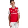 Picture of Arsenal Home Jersey