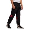 Picture of Fstv Trackpant