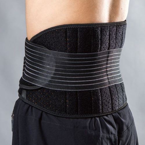 Picture of Waist Support