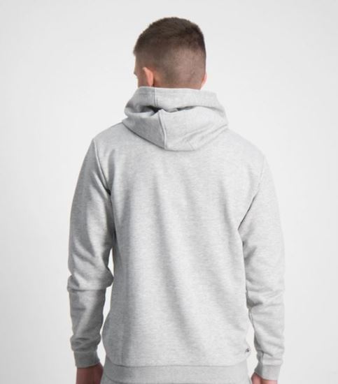 Picture of ANDREY CLASSIC LOGO HOODY