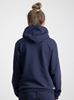 Picture of ANDREY CLASSIC LOGO HOODY