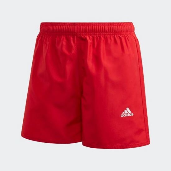 Picture of YB BOS SHORTS