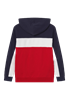 Picture of LEVI BASIC BLOCKED HOODY