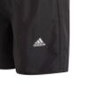 Picture of Classic Badge of Sport Swim Shorts