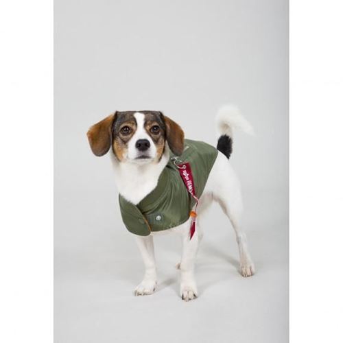 Picture of DOG MA 1 NYLON FLIGHT JACKET