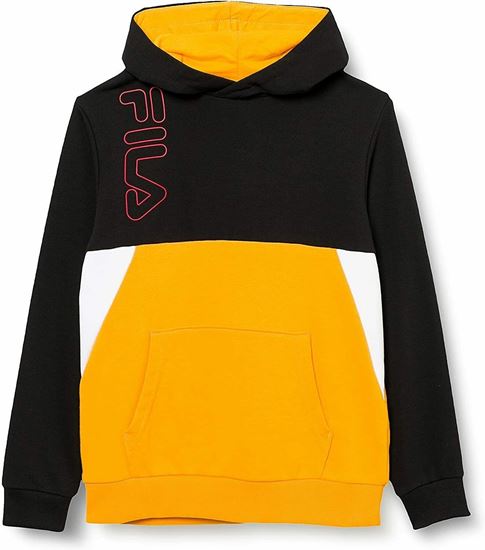Picture of LUPO BLOCKED HOODY