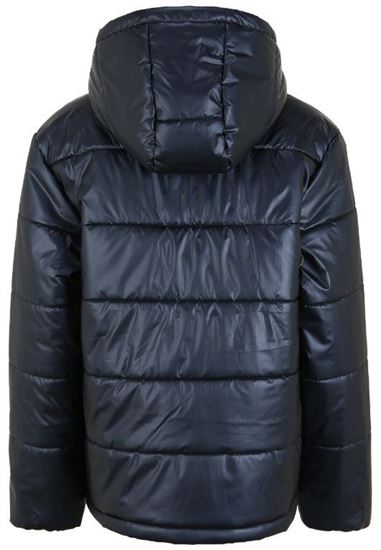Picture of THEIS HOODED PUFF JACKET