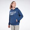 Picture of IDENTITY FRENCH TERRY HOODIE