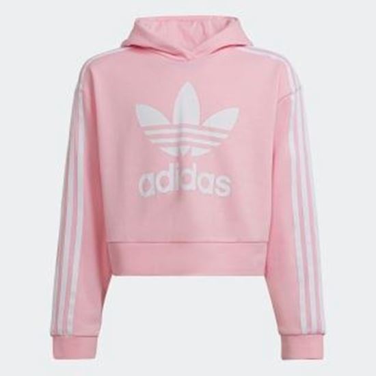 Picture of CROPPED HOODIE