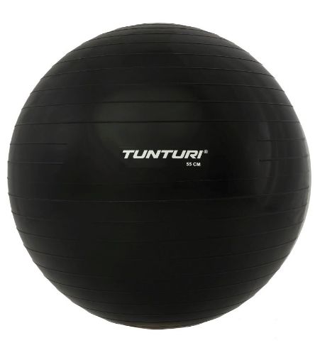 Picture of Anti Burst Gym Ball 55cm