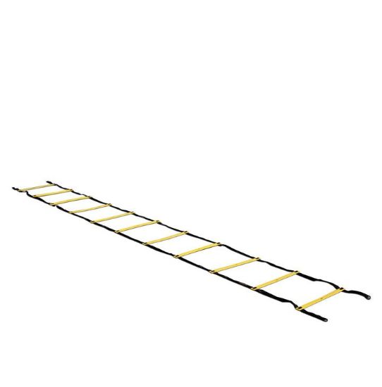 Picture of Agility Pro Ladder