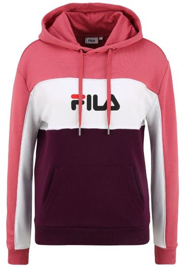 Picture of Aqila Blocked Hoody