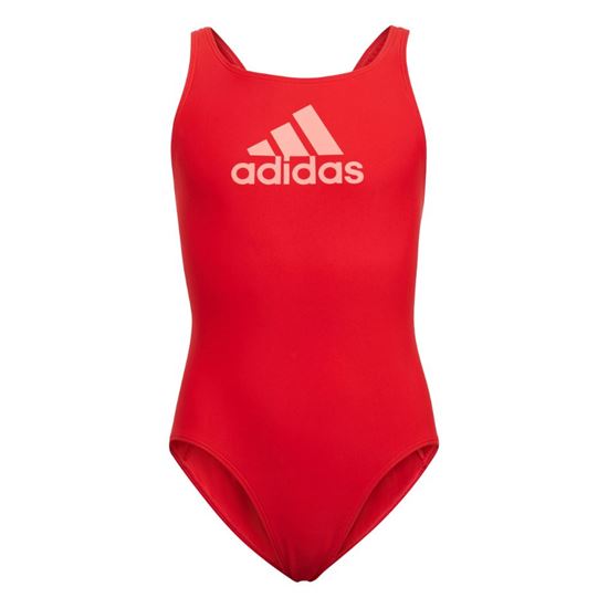 Picture of Badge of Sport Swimsuit