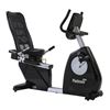 Picture of PLATINUM PRO RECUMBENT BIKE