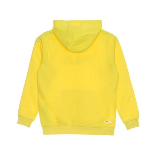 Picture of Sande Classic Logo Hoody