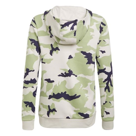 Picture of Camo Hoodie