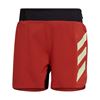 Picture of TERREX AGRAVIC SHORTS