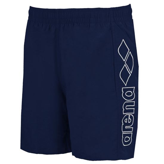 Picture of BERRYN SWIM SHORTS