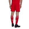Picture of FC Bayern 22/23 Home Shorts