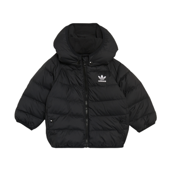Picture of Adicolor Down Jacket
