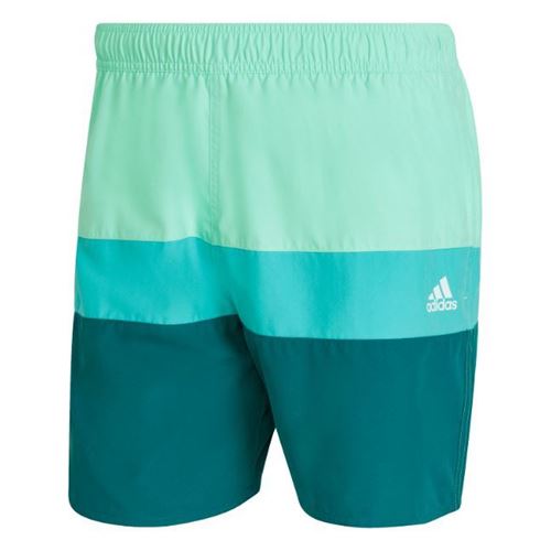 Picture of Short Colorblock Swim Shorts