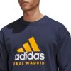 Picture of Real Madrid DNA Crew Sweatshirt