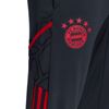 Picture of FC Bayern Condivo 22 Training Tracksuit Bottoms