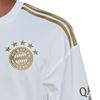 Picture of FC Bayern 22/23 Away Jersey