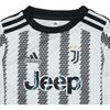 Picture of Juventus 22/23 Home Mini Kit