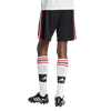 Picture of Manchester United 22/23 Away Shorts