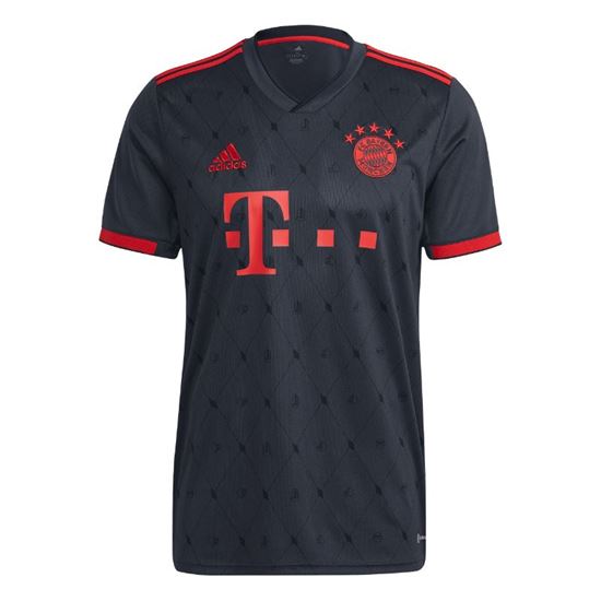 Picture of FC Bayern 22/23 Third Jersey