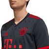 Picture of FC Bayern 22/23 Third Jersey