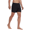 Picture of Short Length Solid Swim Shorts